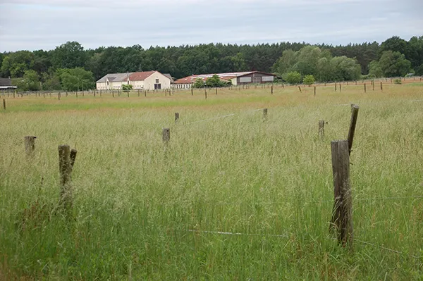 reitstall-bestensee